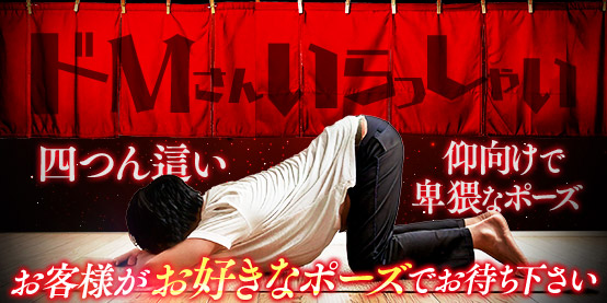 6/1～7/31『ドⅯさんいらっしゃい』