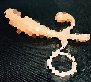 イベント開始日『桜が咲いたら』